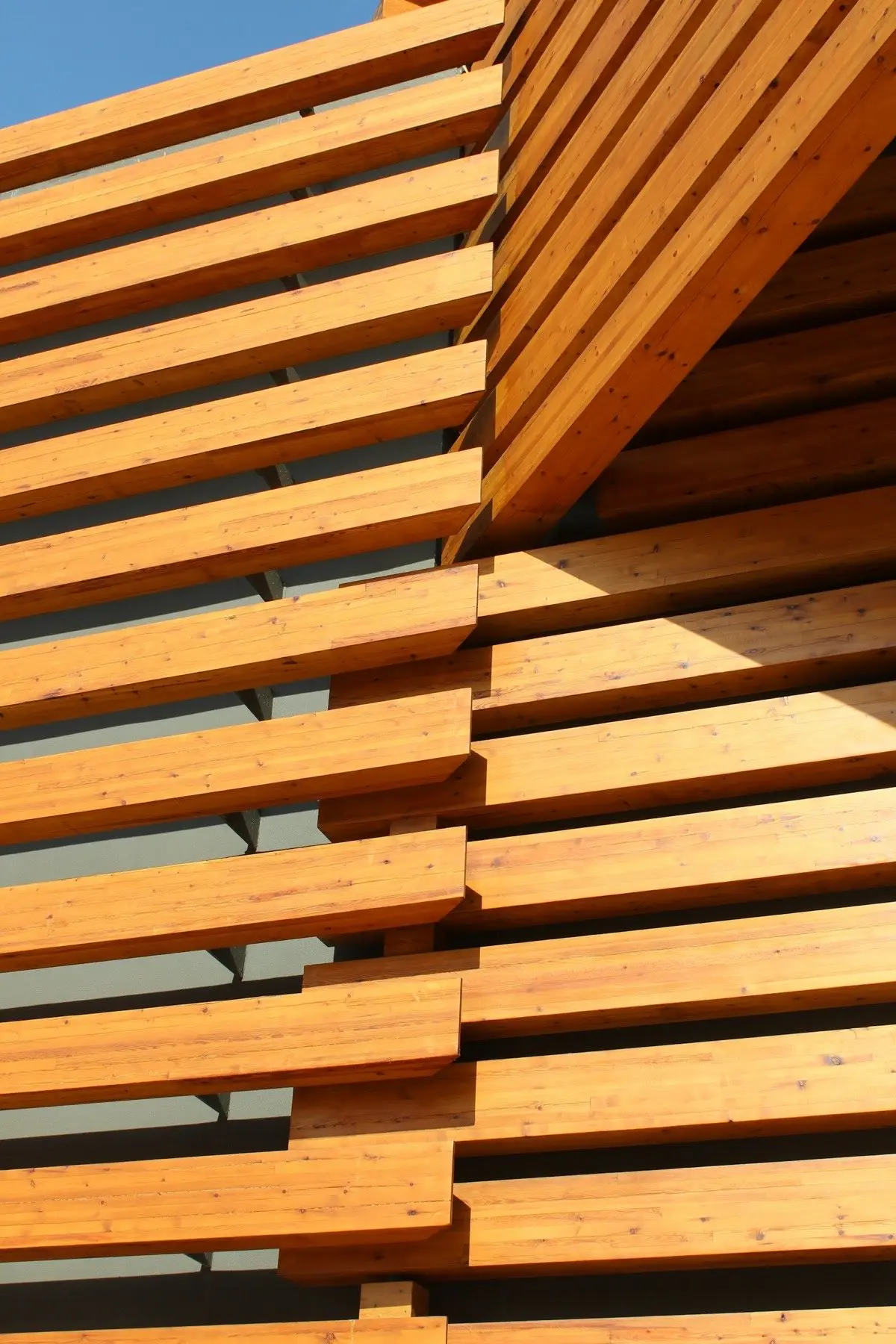 Warm-toned horizontal wood slats catching the sun